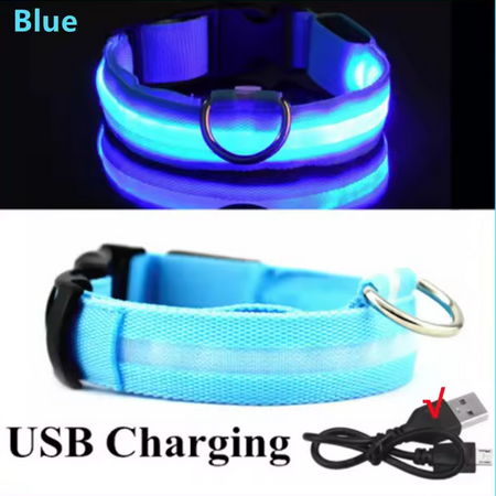 "BrightBuddy" LED dog safety collar