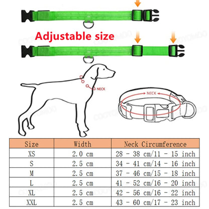 "BrightBuddy" LED dog safety collar