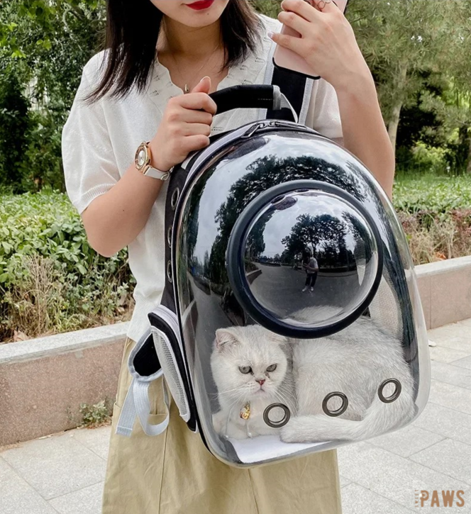 „Catventure: Der stylische Rucksack für unterwegs“