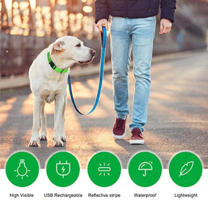 "BrightBuddy" LED dog safety collar