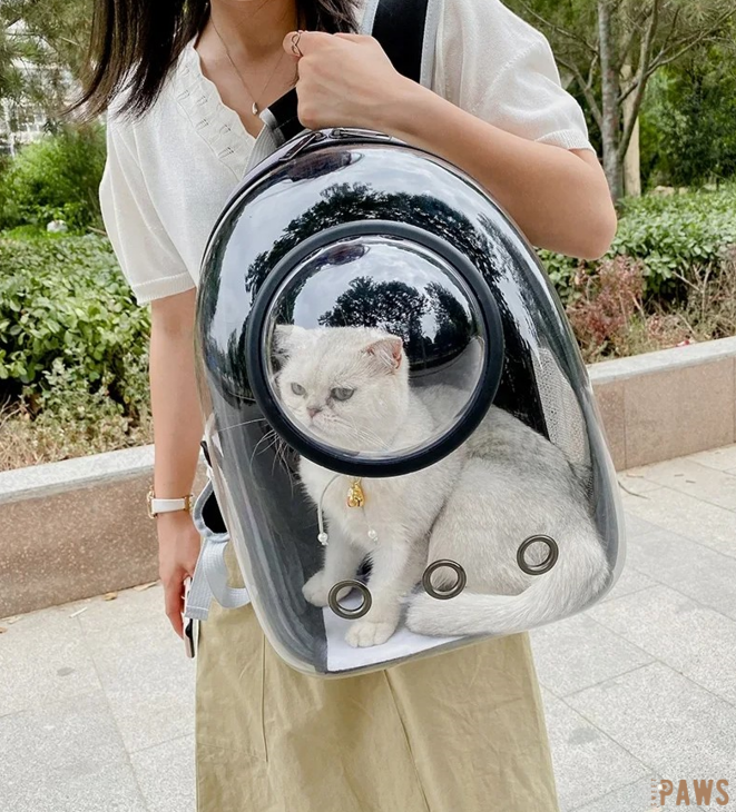 „Catventure: Der stylische Rucksack für unterwegs“