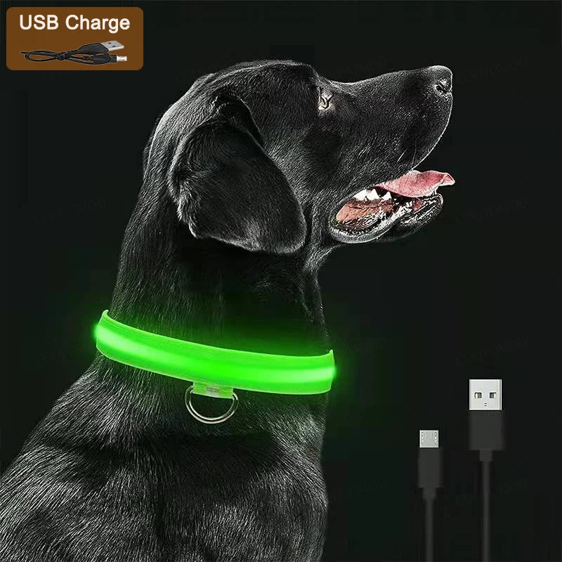 "BrightBuddy" LED dog safety collar