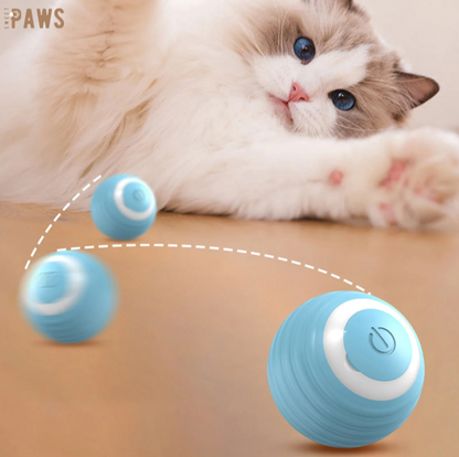 "Twist &amp; Chase: The interactive spinning ball for playful cats" 